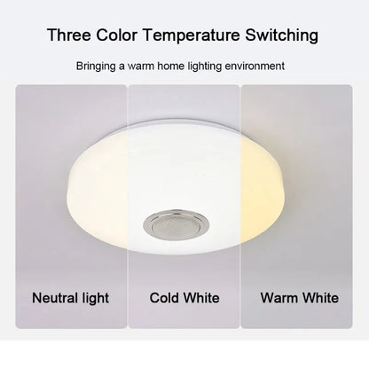 Modern RGB 60W Smart Ceiling Lights With Bluetooth & Remote Control AC220V